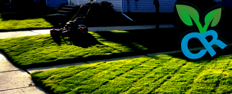 crprofilebanner 768x311